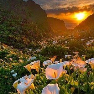 Meet your Posher, Kris